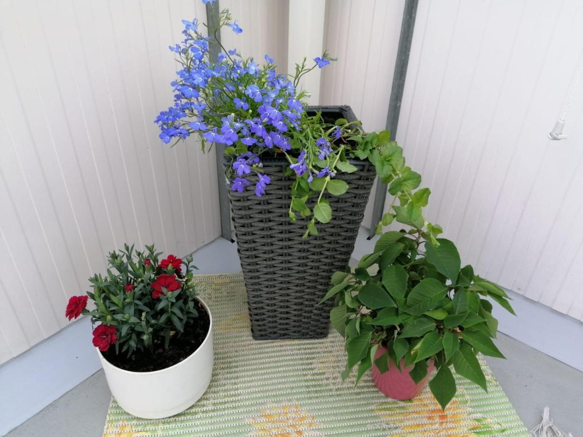 City Centre Apartment Siilinjaervi Zewnętrze zdjęcie